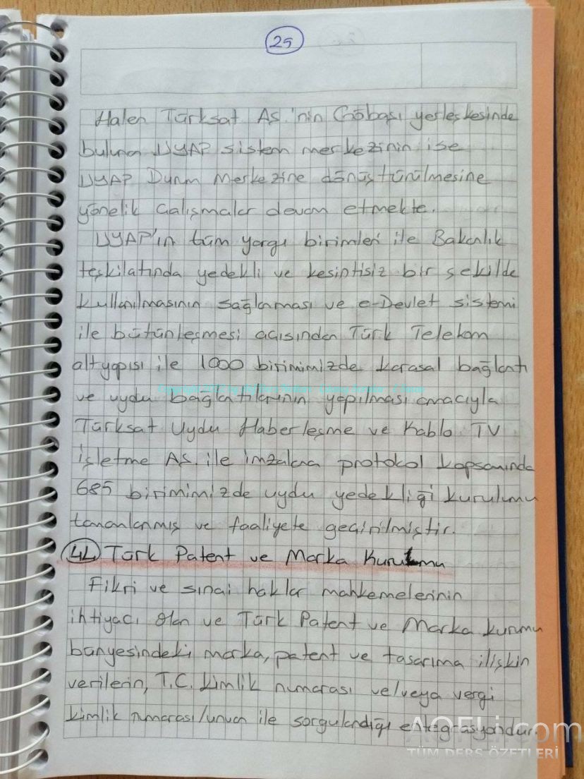 77.jpg